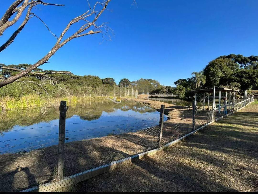 Chácara à venda com 3 quartos, 350m² - Planta Meirelis,Piraquara