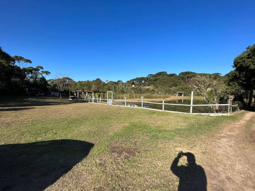  - Chácara à venda em Piraquara, Planta Meireles, com 3 quartos, 21.954,84m²