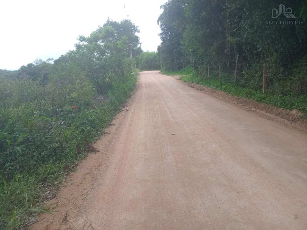  - Sítio à venda em São José dos Pinhais, Colonia Muici, com 3 quartos, 166000m²