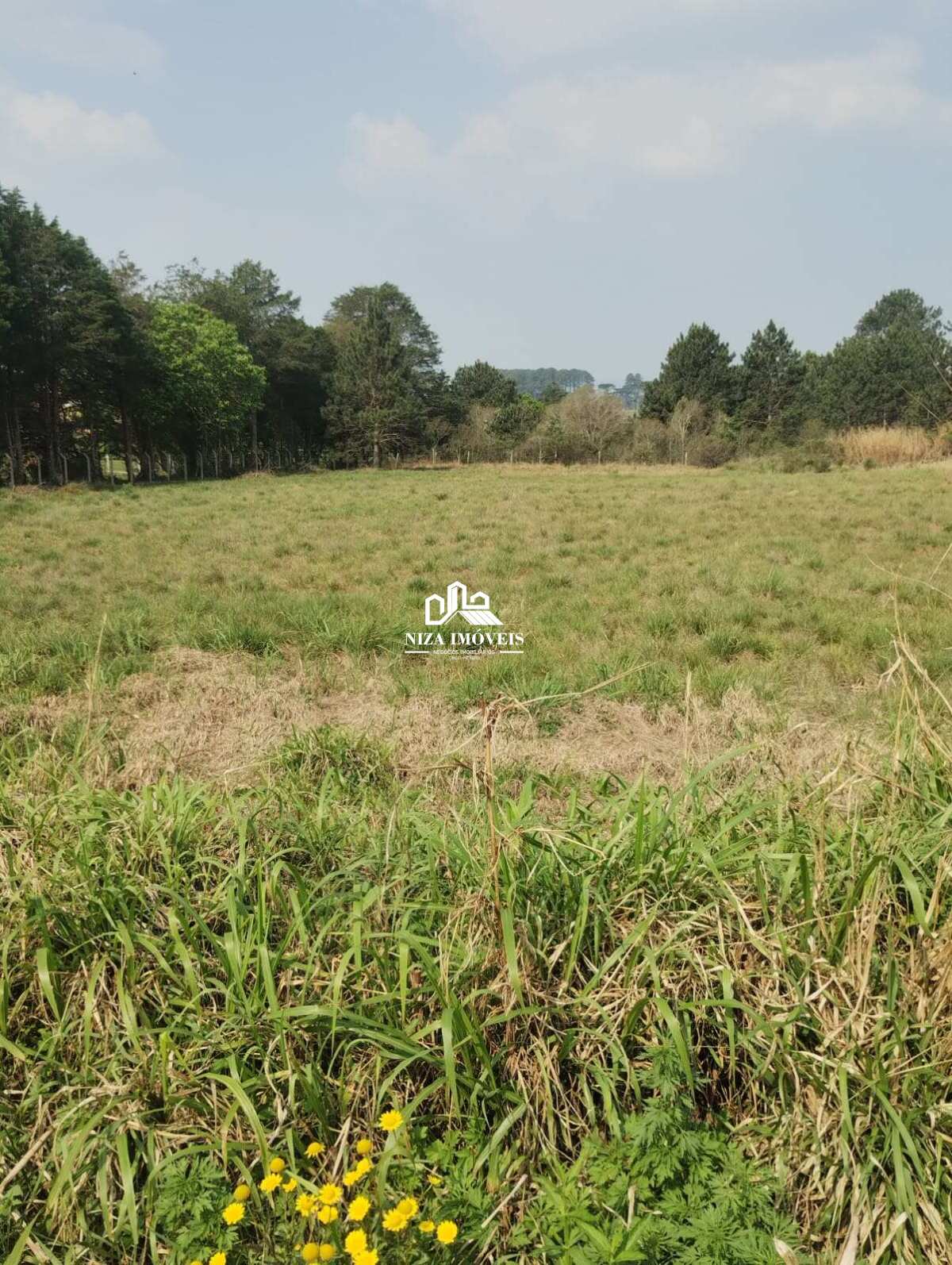 Terreno à venda - Laranjeiras,Piraquara
