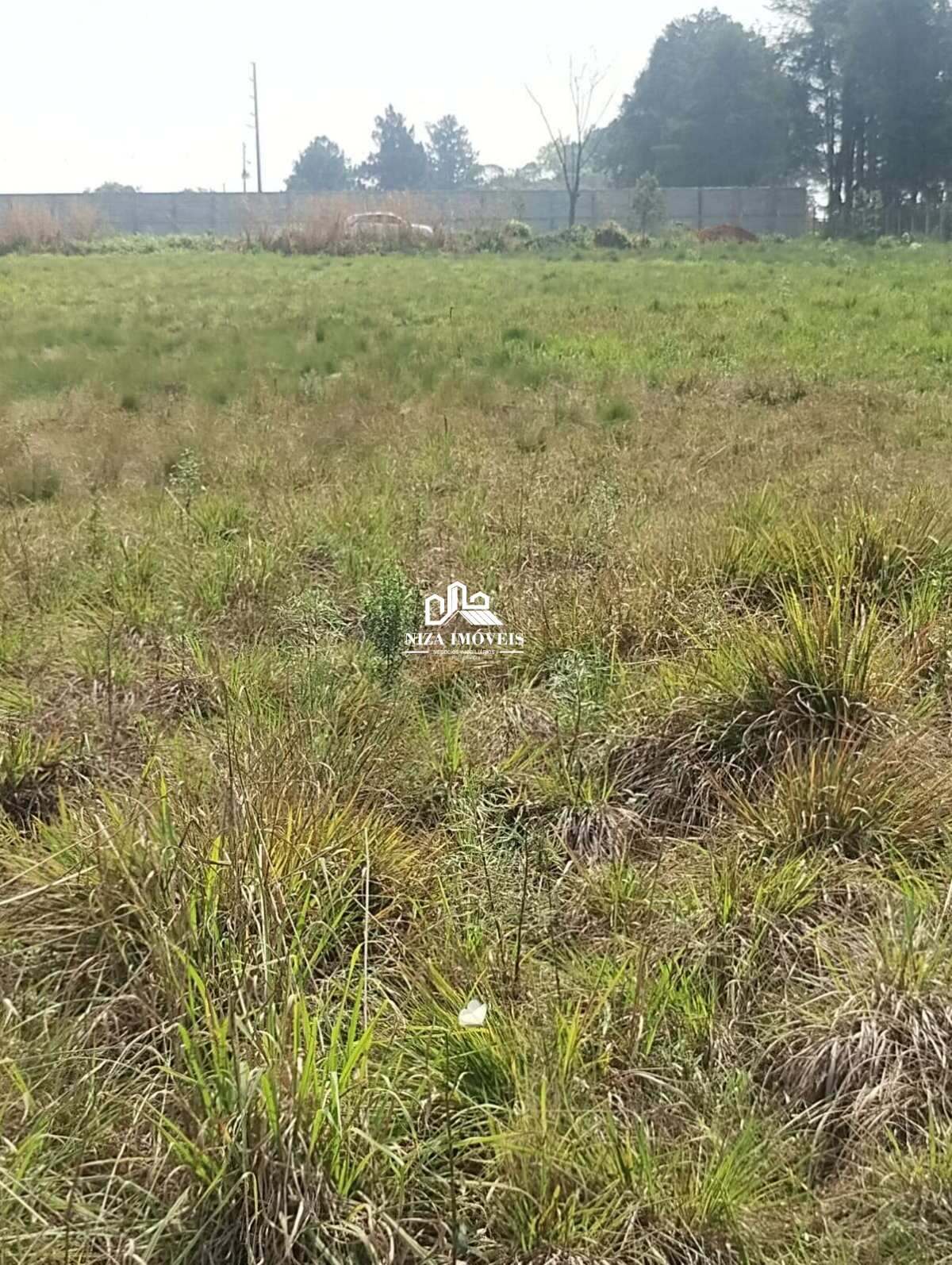 Terreno à venda - Laranjeiras,Piraquara